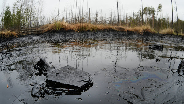 WWF: экологи обнаружили два нефтеразлива в Ханты-Мансийском округе